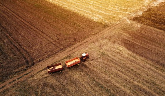 Traktor mit Anhänger